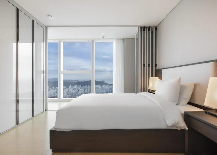 Lct Y Collection Hotel