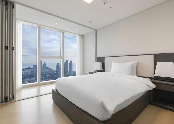 Lct Y Collection Hotel