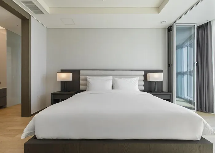 Lct Y Collection Hotel